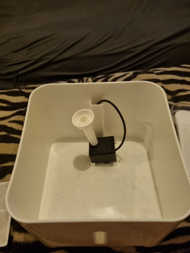 Fontanella acqua gatti