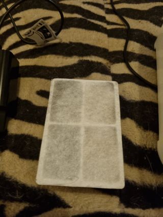 Fontanella acqua gatti