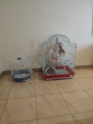 2 jaulas pájaros - grande y pequeña