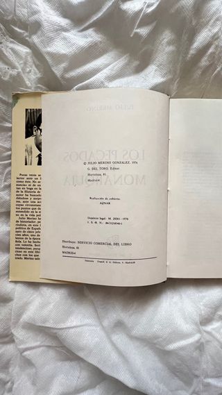 Los pecados de la monarquía (Spanish Edition)