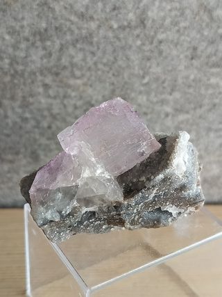 Fluorite su Matrice
