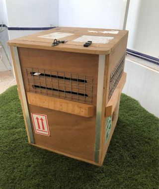 Transportín aves exóticas