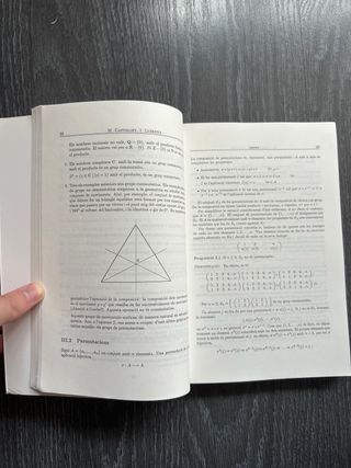 Manuals: Àlgebra lineal i geometria Castellet