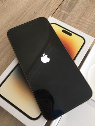 iPhone 14 Pro Max - Gold