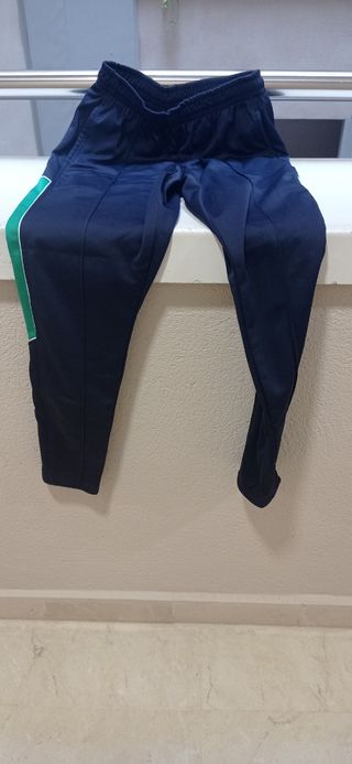 Chándal Colegio Argantonio Azul-Verde
