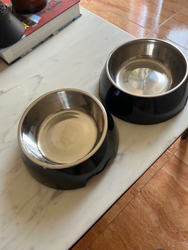 2 Comederos Bebederos Mascotas Perros