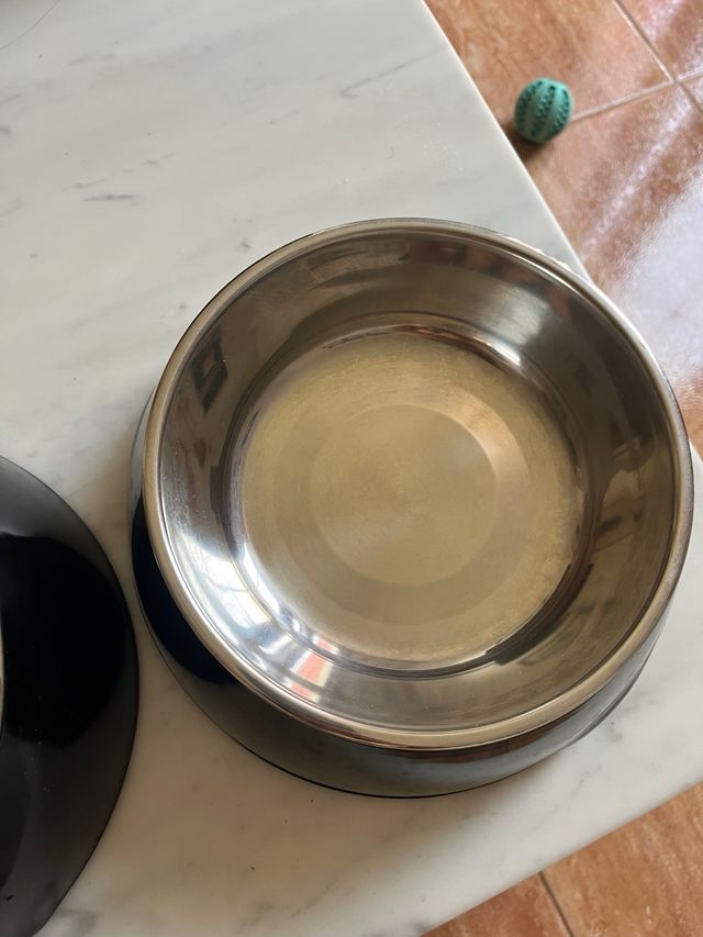 2 Comederos Bebederos Mascotas Perros