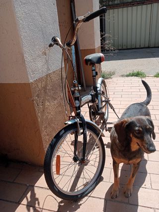 Bicicleta plegable Topbike
