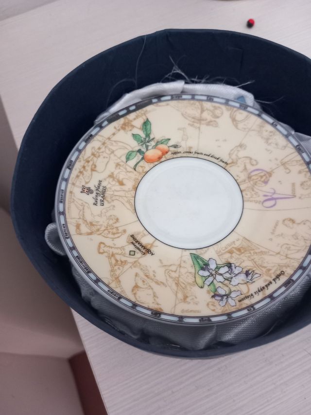 Tazza caffè Acquario | Porcellana