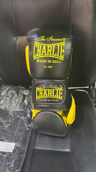 Guantes boxeo Charlie 14-TNT