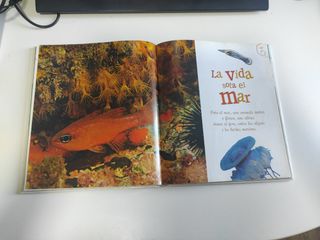 Petita enciclopèdia del mar (Catalan Edition)