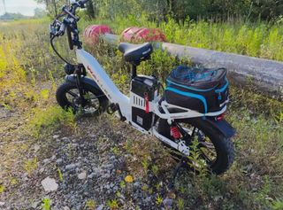 Bicicleta eléctrica WALLKE HT AWD