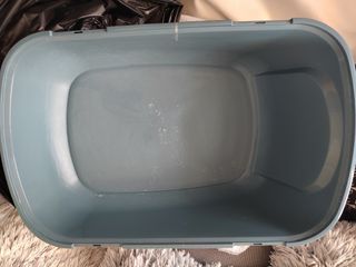 Arenero gigante. Gato Nestor Azul XXXL