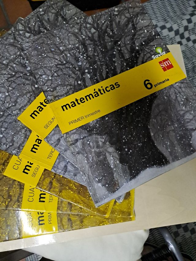 Matemáticas. 6 Primaria. Savia (Spanish Edition)