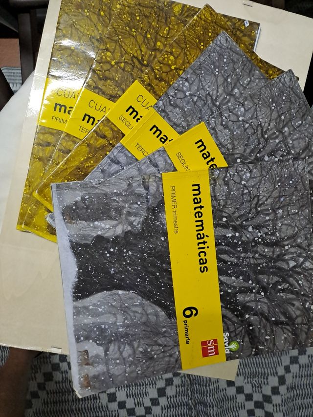 Matemáticas. 6 Primaria. Savia (Spanish Edition)