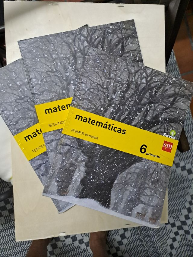 Matemáticas. 6 Primaria. Savia (Spanish Edition)