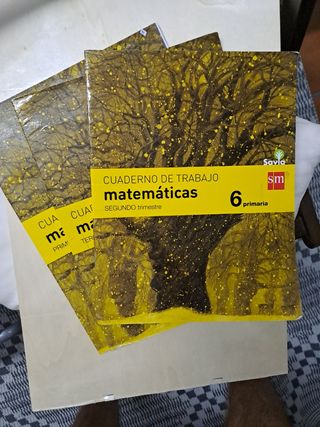 Matemáticas. 6 Primaria. Savia (Spanish Edition)
