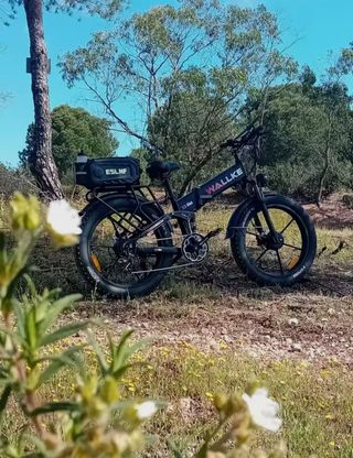 Bicicleta eléctrica plegable WALKKE