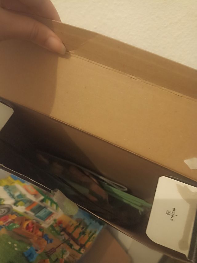 LEGO Botanical Collection: 2 ramos