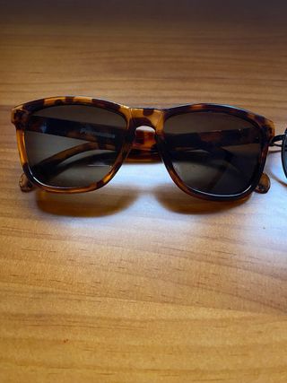 Gafas sol Premiums - Marrón