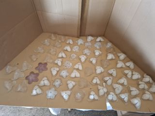 fiori vetro 5€ a pezzo