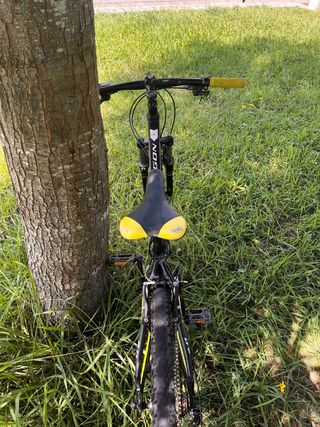 Bicicleta Kross Hexagon 26" XS