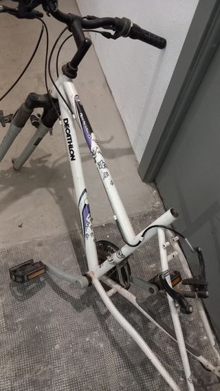 Telaio e forcelle per bici