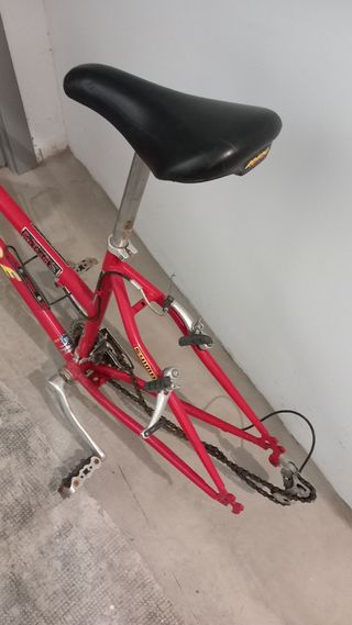 Telaio e forcelle per bici