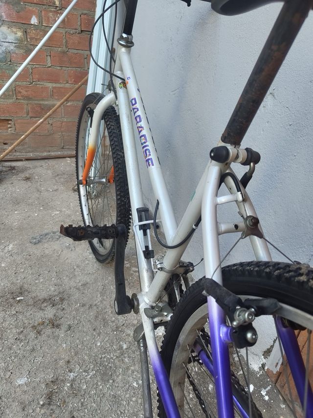 Bicicleta Paradise