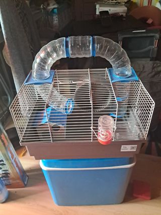 Para personas manitas qué les parece dar un repaso