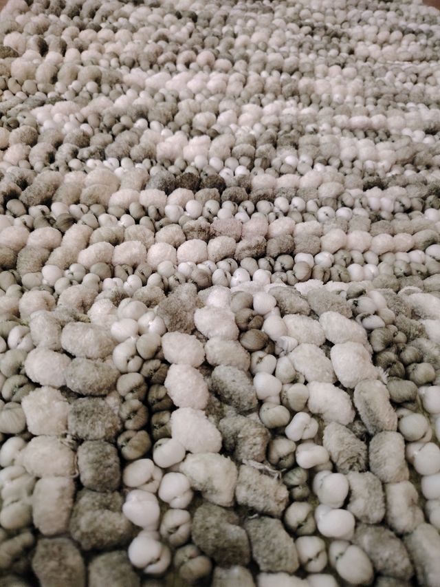 Alfombras baño Heckett Lane - Verde