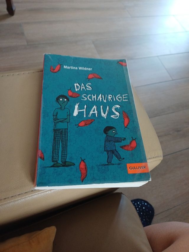 Das schaurige Haus: Roman