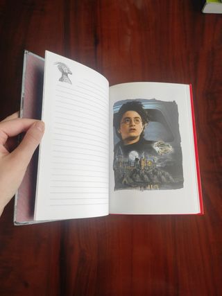 Harry Potter y la Cámara Secreta - Diario misterio