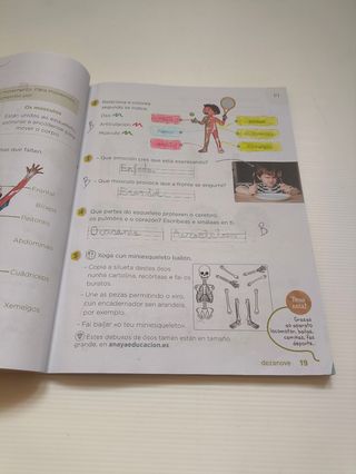 Ciencias da Natureza 2° primaria