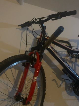 Bicicleta Freerider montaña