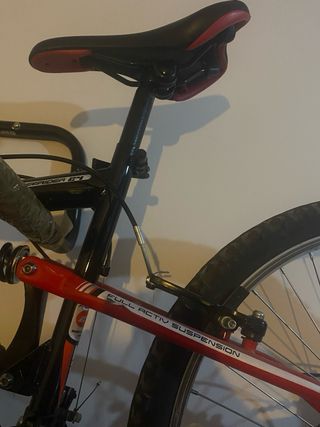 Bicicleta Freerider montaña