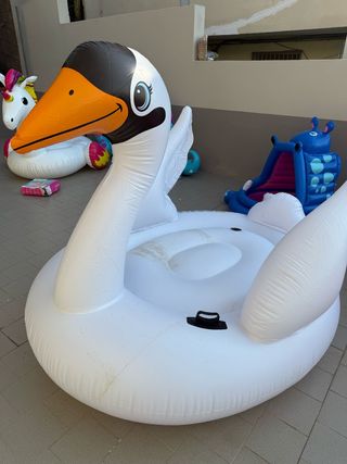 Cigno gonfiabile piscina