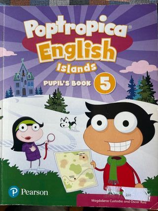 Conjunto de libros de educación primaria (quinto)