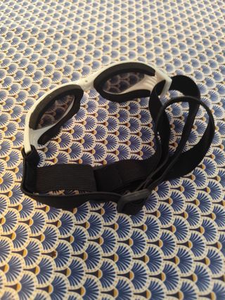 Gafas sol perro blancas SIN USAR