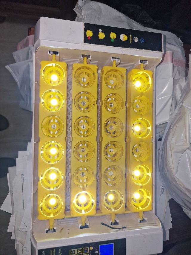 Incubadora luz calor negra