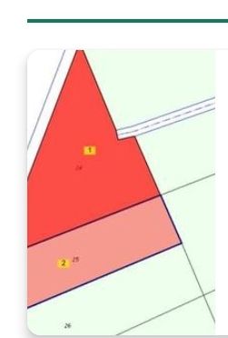 Terrenos Lorquí: 2 parcelas las parcelas se venden