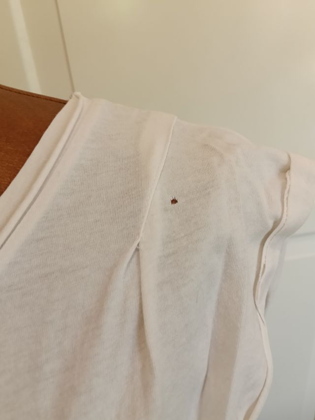 Camiseta india blanca y roja