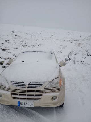 SsangYong Kyron 2006
