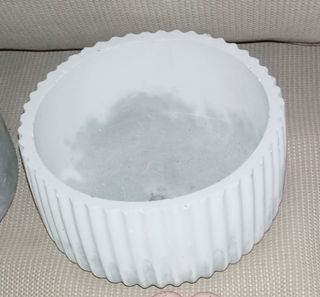 Maceta de diseño + suculentas