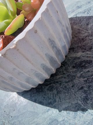 Maceta de diseño + suculentas