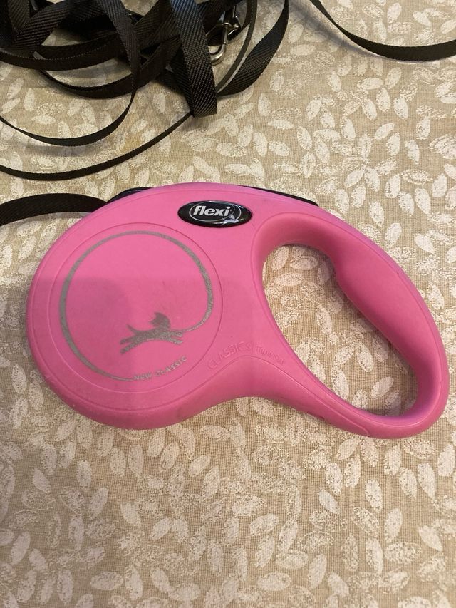 Flexi Correa extensible rojizo para perros