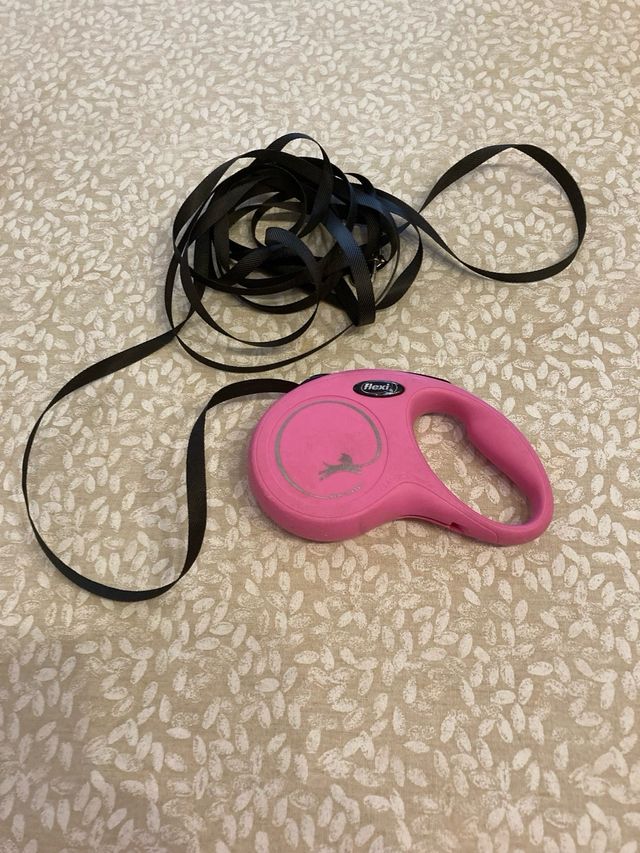 Flexi Correa extensible rojizo para perros