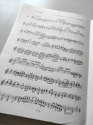 Polo Estudios dobles cuerdas violín 