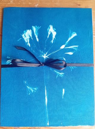 Álbum Cyanotype: Planta