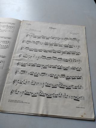 Violín Allegro - Fiocco 